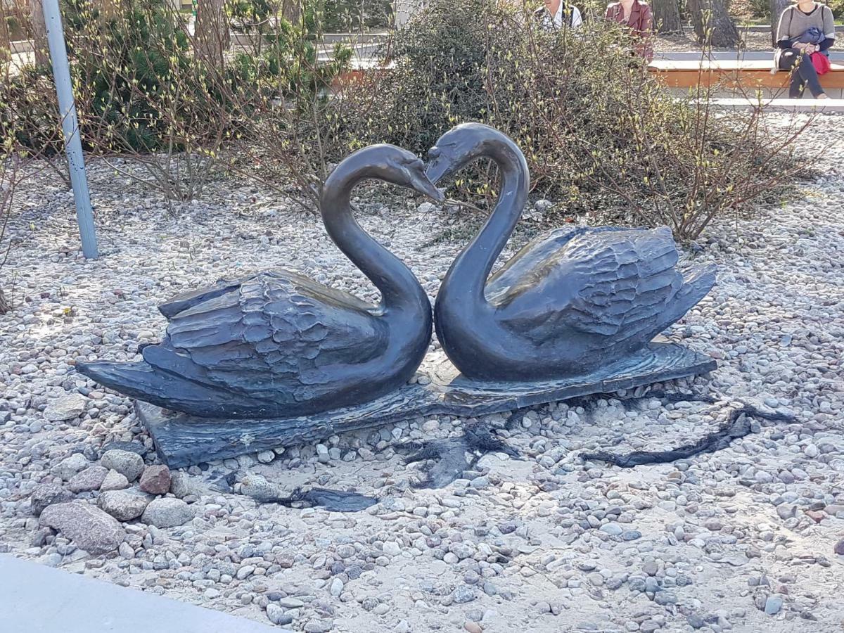 Pokoje Port Homestay